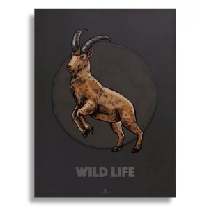 Barbary Sheep Vintage Art Gallery Poster