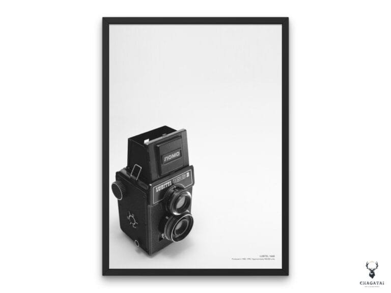 Retro Lubitel Camera Monochrome Poster 2