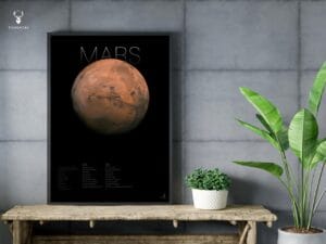 The Mars Info Poster - Image 6