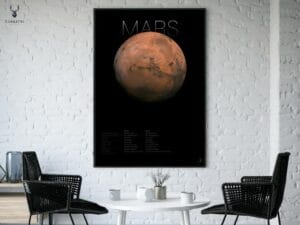 The Mars Info Poster - Image 2