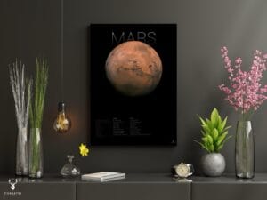 The Mars Info Poster - Image 3
