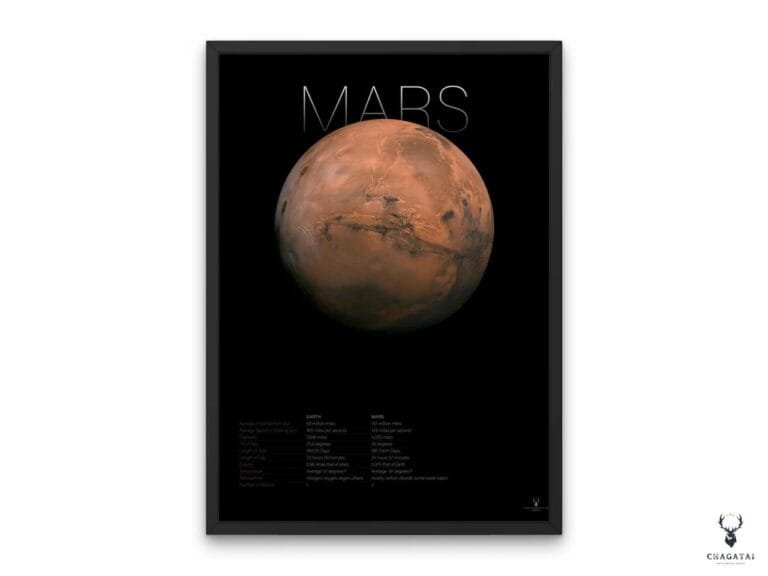 The Mars Info Poster