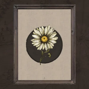 Daisy Gothic & Nordic Poster