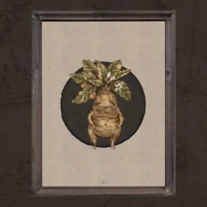 Herbology Mandrake Gothic & Nordic Poster