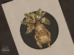 Herbology Mandrake Gothic & Nordic Poster - Image 2