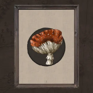 Magic Mushrooms Gothic & Nordic Poster