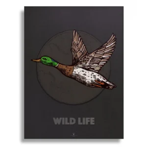 Mallard Duck Vintage Art Gallery Poster