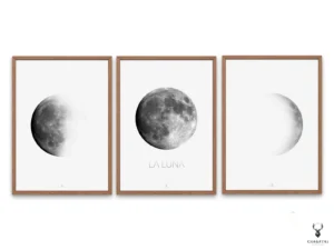 Moon Phases Wall Art Set of 3