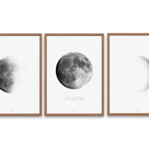 Moon Phases Wall Art Set of 3