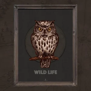 Owl Vintage Art Gallery Poster