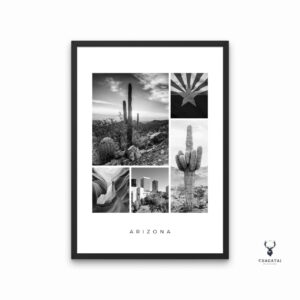 Arizona Monochrome Poster