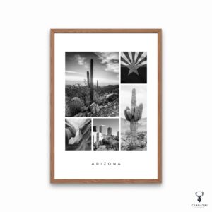 Arizona Monochrome Poster - Image 4