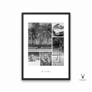 Miami City Monochrome Poster