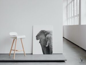 Elephant Monochrome Poster - Image 3