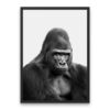 Gorilla Monochrome Poster
