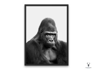 Gorilla Monochrome Poster