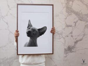 Sphynx Cat Monochrome Poster - Image 4