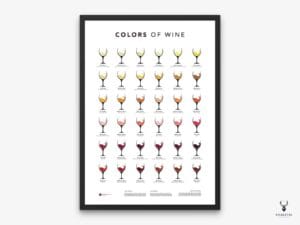 Wine Color Guide Poster - Light Edition