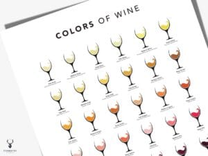 Wine Color Guide Poster - Light Edition - Image 6