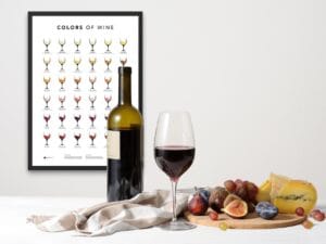 Wine Color Guide Poster - Light Edition - Image 4