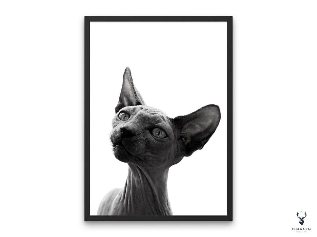 Minimalist Sphynx Cat Wall Art featuring the unique details of a hairless cat, designed in sharp monochrome for collectors, cat lovers, and modern interior decor.