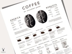 Coffee Brew Methods Poster - Light Edition - Image 2