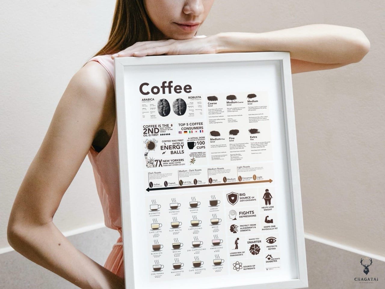 Coffee Beans Educational Poster showing roasting levels and barista coffee training chart for professional or home use.