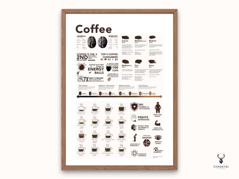 Coffee Knowledge Poster - Light Edition