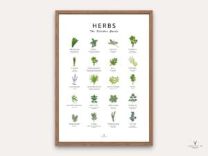 Herbs Guide Kitchen Decor - Light Edition - Image 4