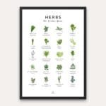 Herbs guide kitchen wall decor with herbs chart poster