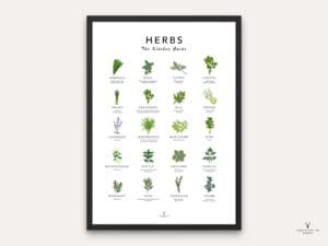 Herbs Guide Kitchen Decor - Light Edition