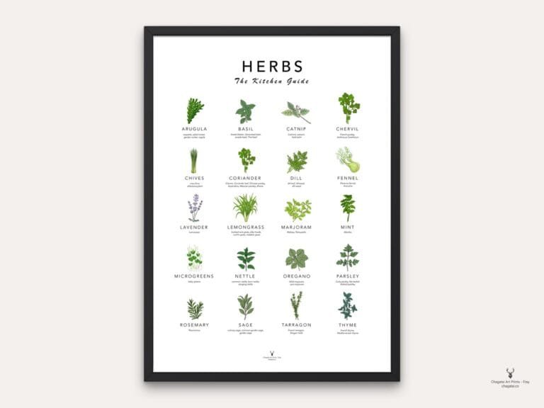 Herbs guide kitchen wall decor with herbs chart poster
