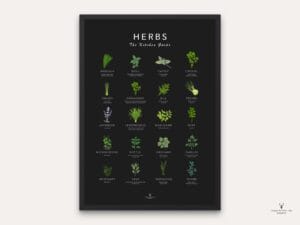 Herbs Guide Kitchen Decor - Dark Edition