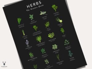 Herbs Guide Kitchen Decor - Dark Edition - Image 2