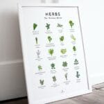 Cooking herbs cheat sheet poster for chefs and home cooks