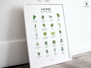 Herbs Guide Kitchen Decor - Light Edition - Image 6