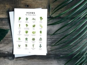 Herbs Guide Kitchen Decor - Light Edition - Image 7