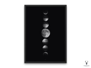 Phases of the Moon Poster