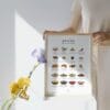 Spices Guide Cook Cheat Paper - Light Edition - Image 7