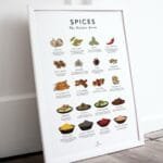 Kitchen spice guide poster for home and professional chefs