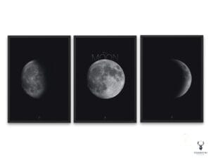 The Moon Phases Wall Art Set of 3