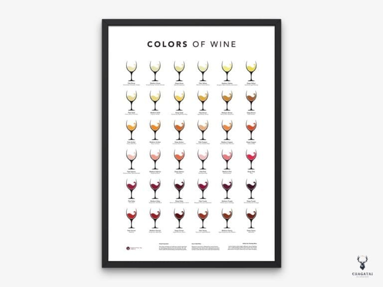 Colors of Wine & Glass Poster
