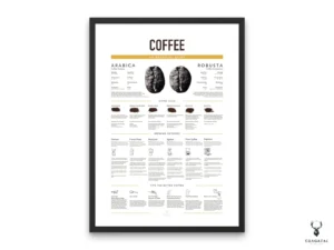 Coffee Brew Guide Poster with brewing chart and grind size infographic.