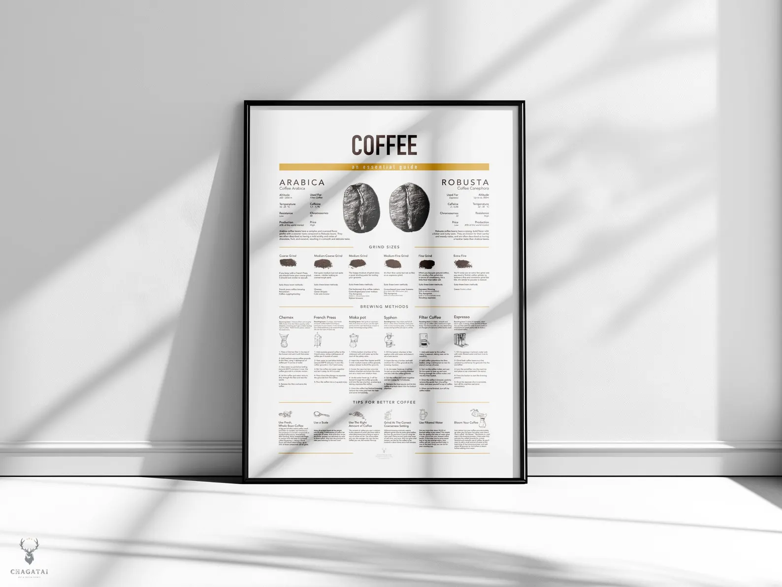 Barista coffee brewing training poster with brew guide.