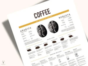 Coffee grind size chart infographic for brewing coffee.
