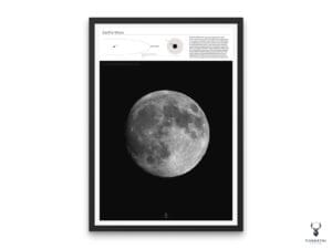 The Moon Education Poster