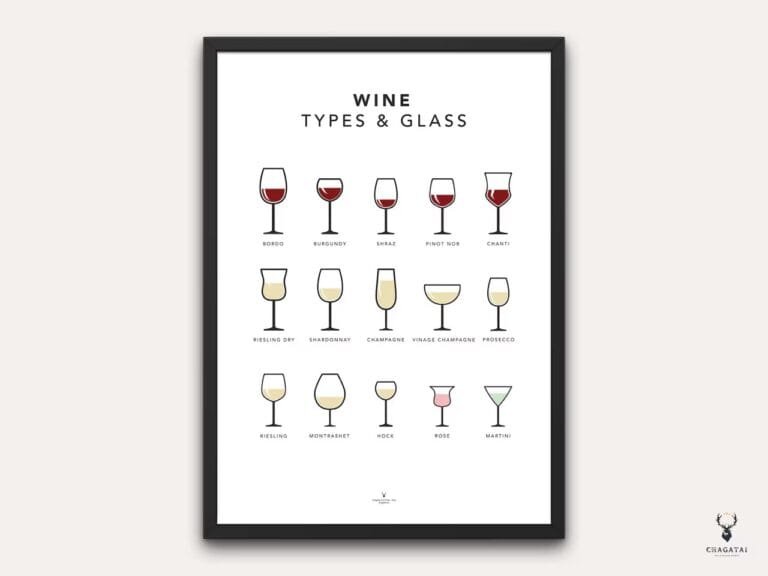 Types of Wine Glass Poster