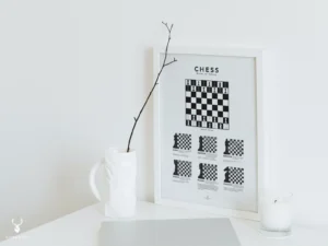 Rules of Chess - Board Setup - Image 7