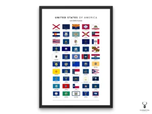 USA State Flags Poster