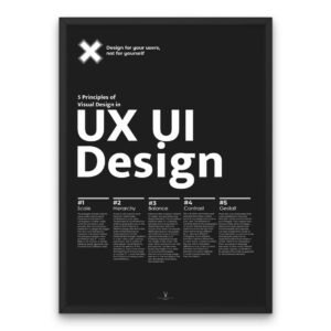 UX / UI Design Principles Poster